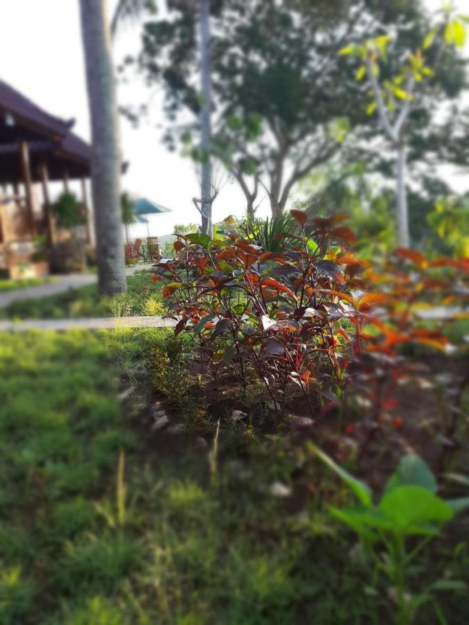 Kkorok Hill Cottage Toyapakeh Luaran gambar